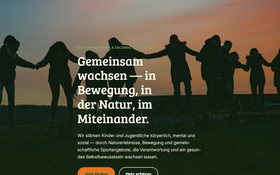 Startseite von nse-calau.de